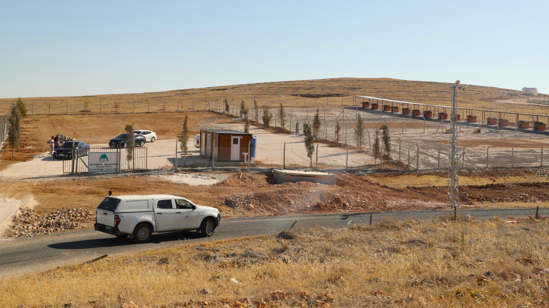 Eyyübiye’de 'Hayvan Bakım Evi'nde sona doğru