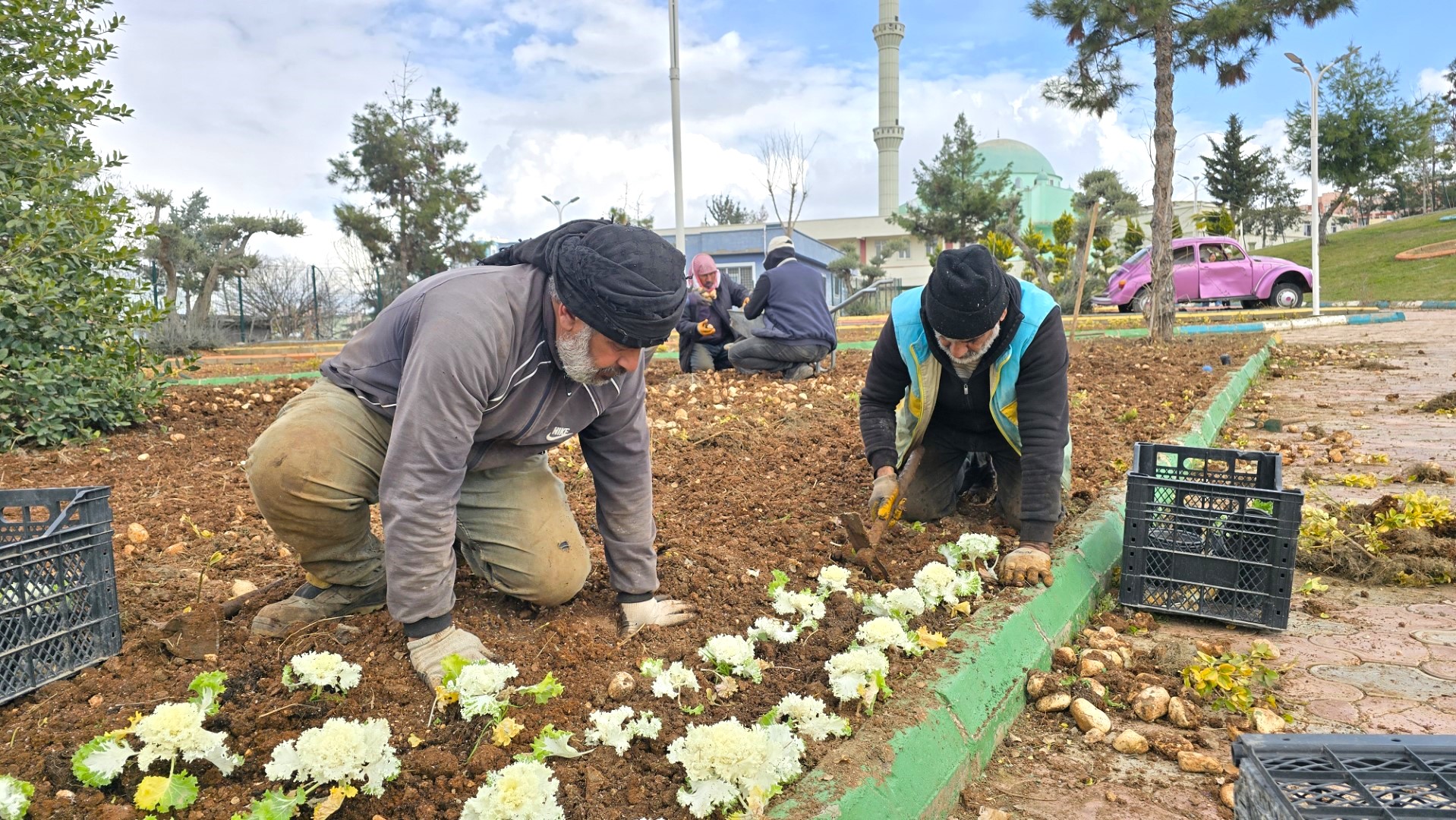 Eyyübiye’de bahar öncesi sürpriz hamle! Binlerce fidan toprakla buluşuyor