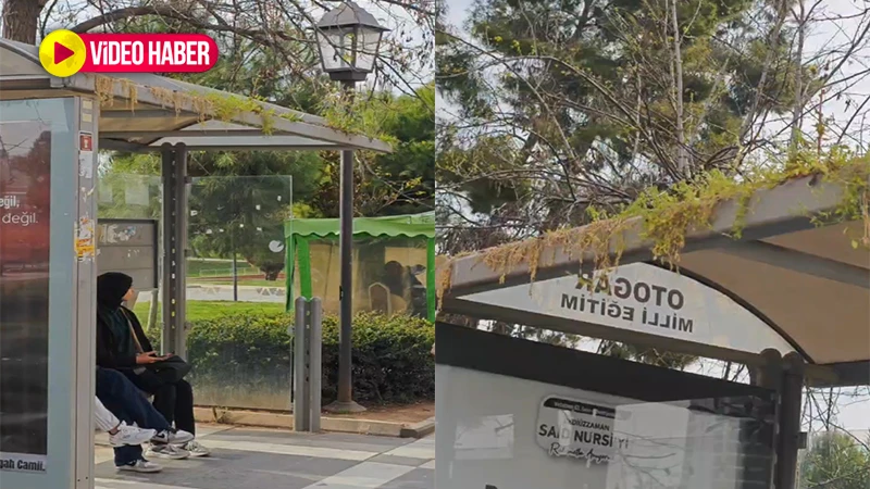 Bahar güzelliğini gösterdi! Ne demişler 'Doğa her zaman bir yolunu bulur'