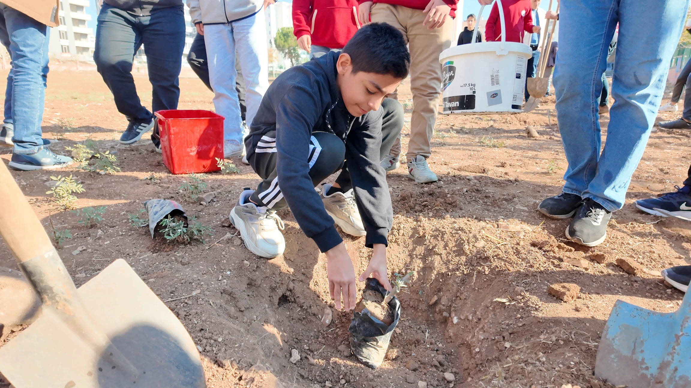 Şanlıurfa’da okullar yeşile bürünüyor