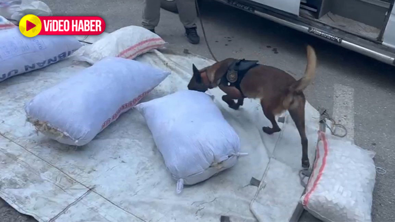 Filmleri aratmayan operasyon: Yün çuvallarının içinden çıktı