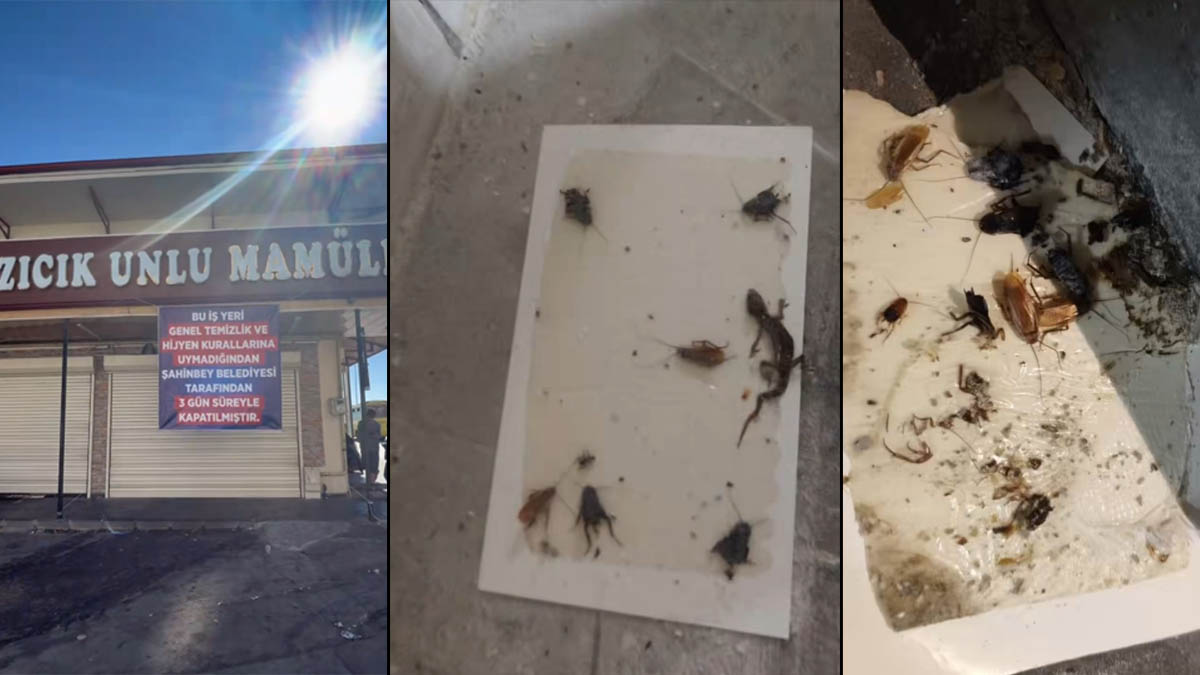 Fırında mide bulandıran detay! Kapısına mühür vuruldu