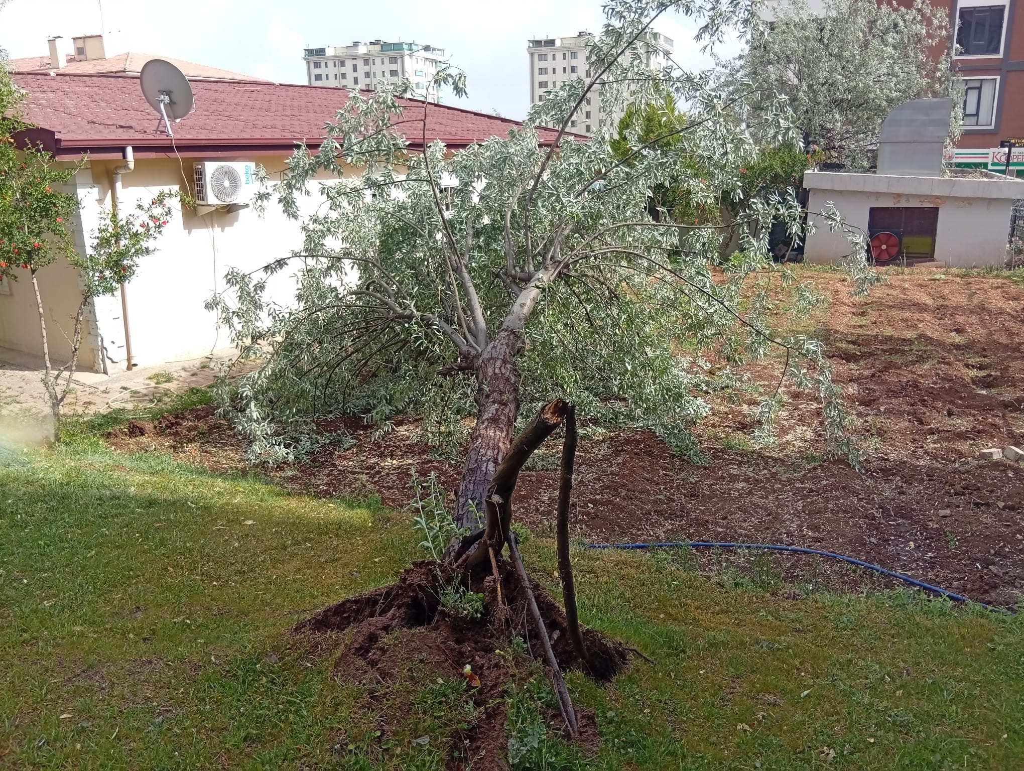 Şanlıurfa’da şiddetli fırtına yıktı geçti!