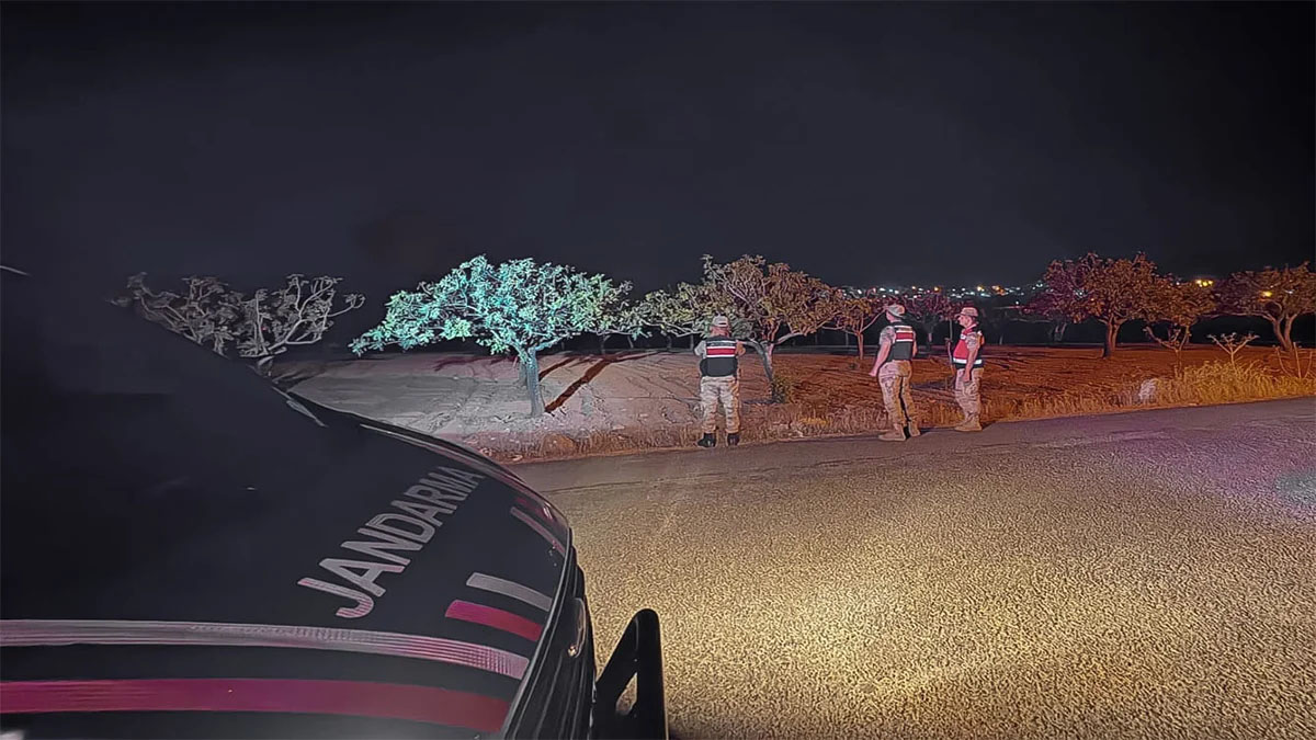 Fıstığa göz dikenler yandı! Başları belada…