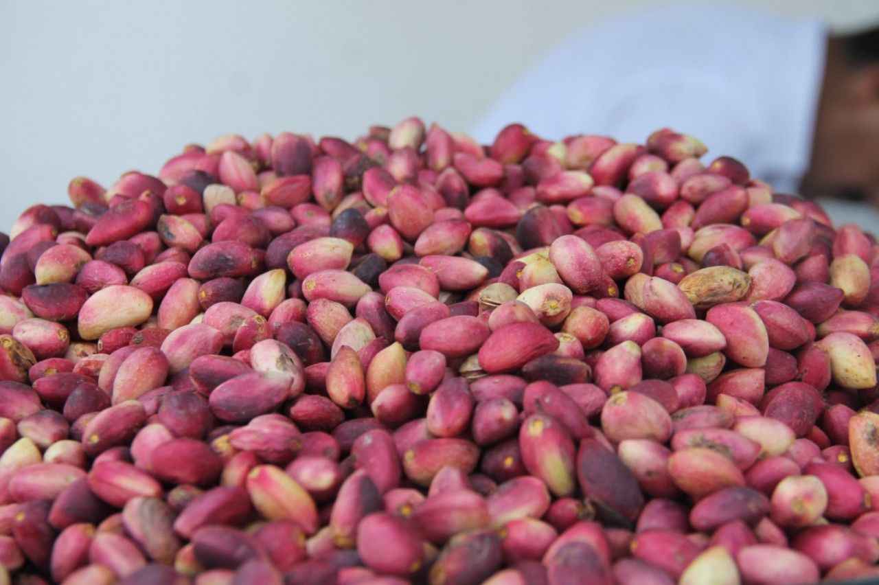 Fıstığın başkentinde "yok artık" dedirten fiyat: Gören bir daha bakıyor…