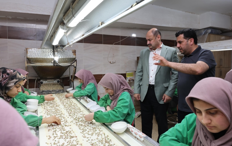 Büyükşehir'den fıstık üreticilerine destek: Başkan Gülpınar açıkladı