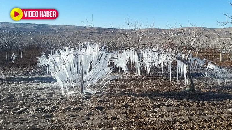 Şanlıurfa'da büyük tehlike: Burası Sibirya değil