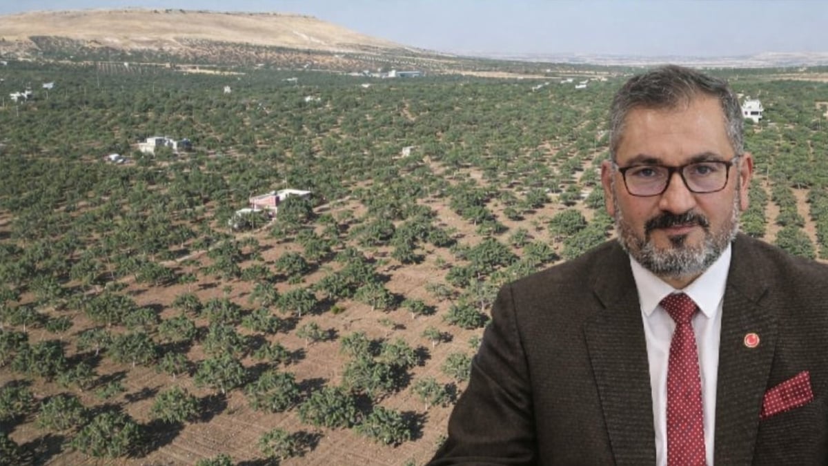 Şanlıurfa’da fıstık ekecekler dikkat! Yanlış dikim servet kaybettiriyor