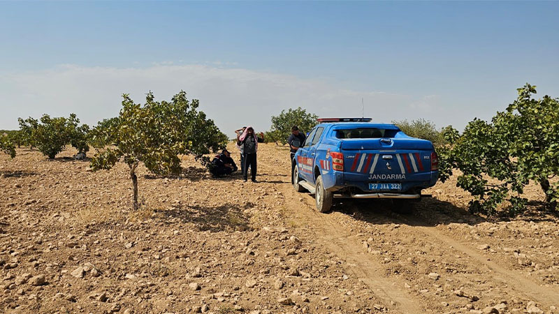Fıstık hasadı yaparken fenalaşan işçi hayatını kaybetti
