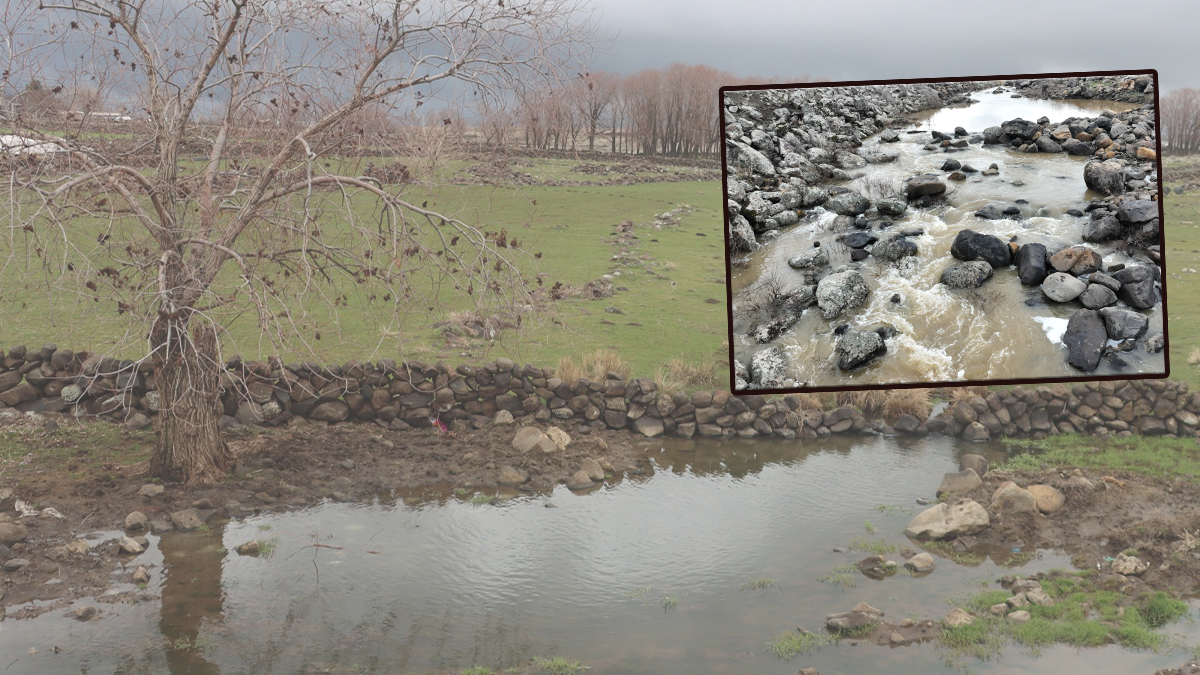 Şanlıurfa'da kuruyan çaylar birer birer coşmaya başladı! Yağışlar tarıma can suyu oldu
