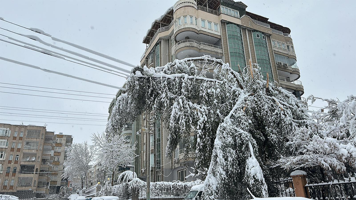 Görenlerin yüreği ağzına geldi! Haliliye'de korkutan manzara