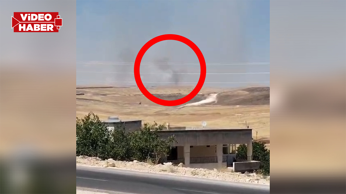 Şanlıurfa'da ormanlık alanda yangın: Dumanlar gökyüzüne yükseldi