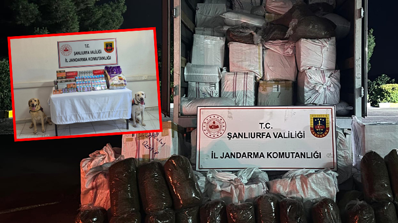 Şanlıurfa’da jandarmadan kaçakçılara darbe! Binlerce kaçak ürüne el konuldu
