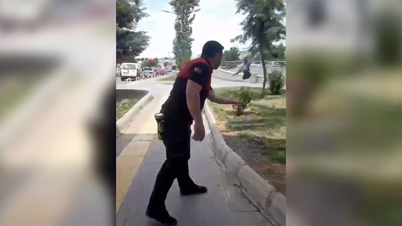 Şanlıurfa'da güvercin kurtarma operasyonu (27.05.2024)