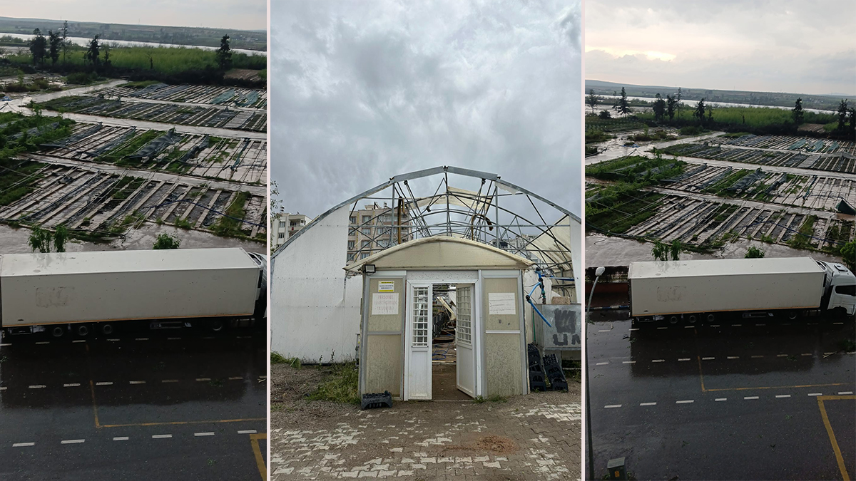 Şanlıurfa'da fidanlıkta yaralar sarılıyor: Doğa yeniden canlanıyor