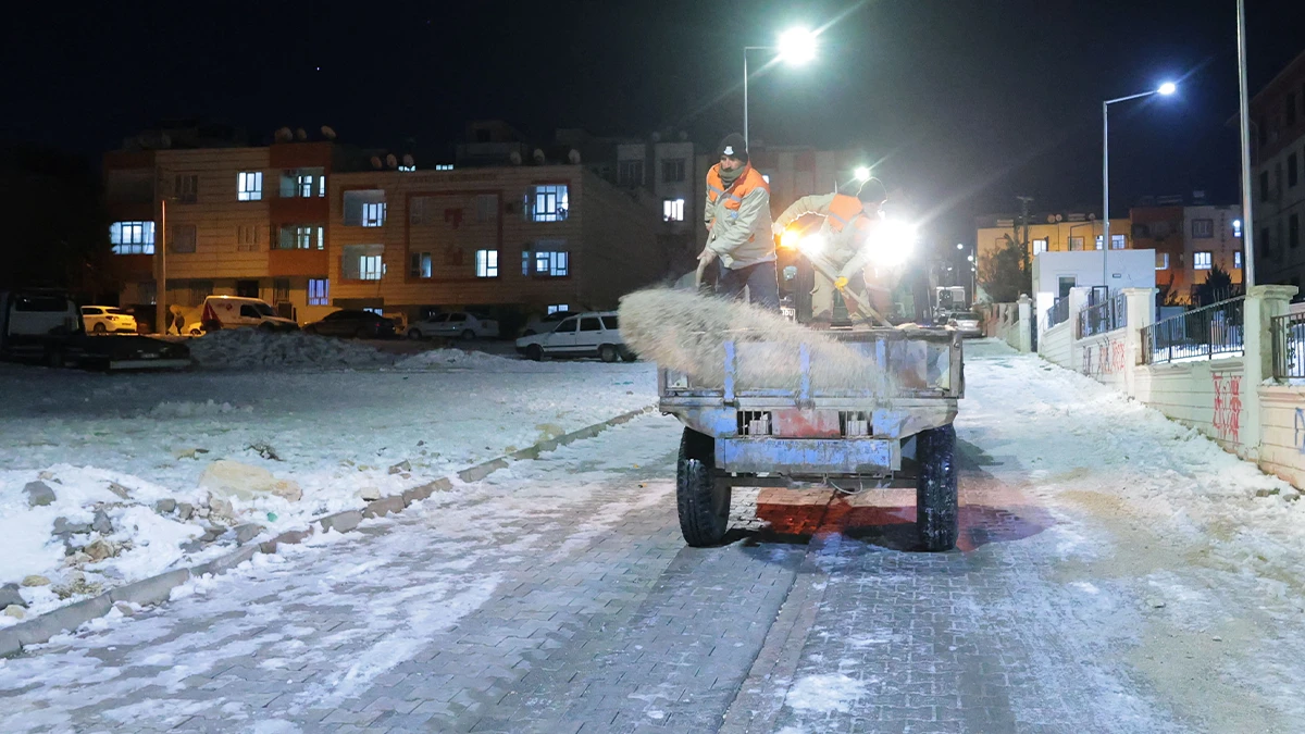 Haliliye don tehlikesine karşı teyakkuzda