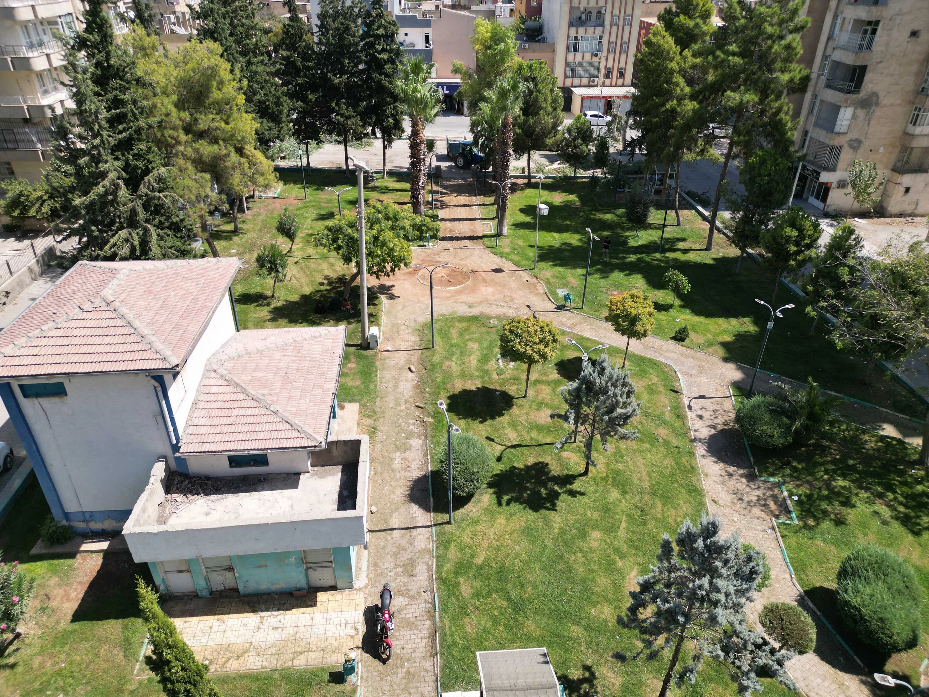 Haliliye’de parklara yeni ağaçlar dikiliyor