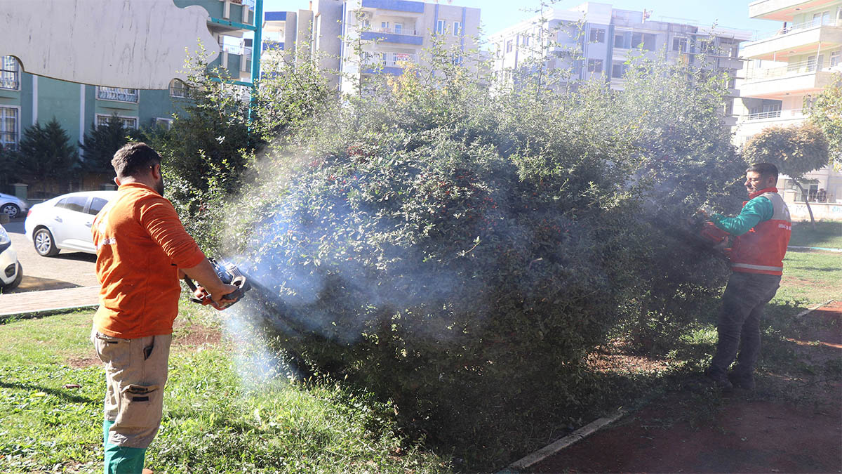 Haliliye’de parklara kapsamlı revizyon!