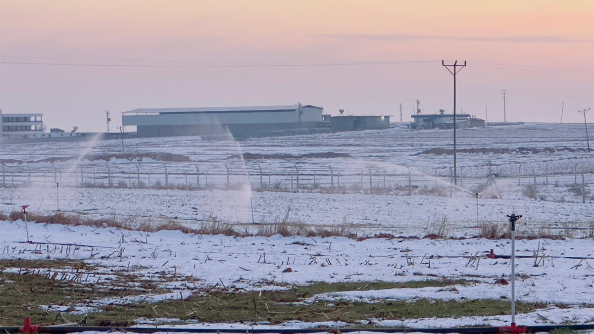Şanlıurfa’da pes dedirten görüntü! Karla kaplı arazide kaçak trafoyla sulama