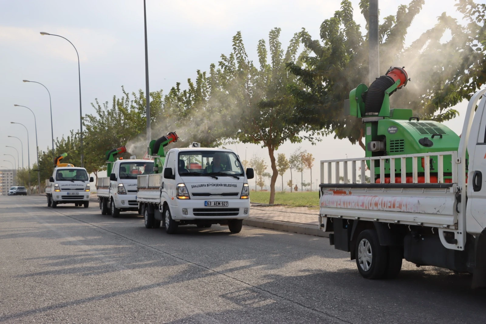 Şanlıurfa’da haşere alarmı, ekipler devrede