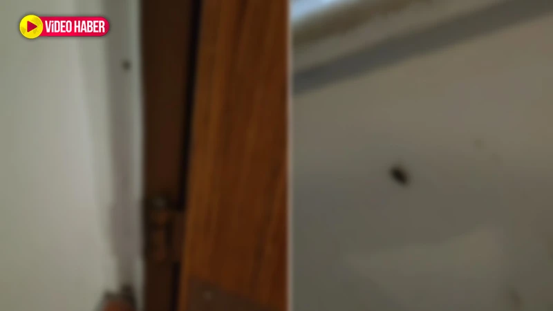 Şanlıurfa'da bilin bakalım hastaların refakatçisi kim? Gözlerinize inanamayacaksınız