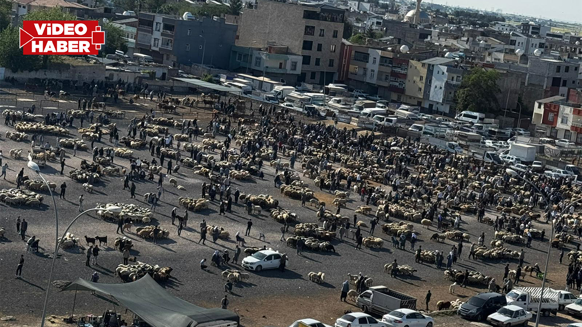 41 kere maşallah! Şanlıurfa'da bayrama saatler kala adım atacak yer kalmadı