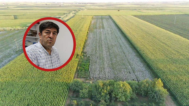 Şanlıurfa'da bunu eken yandı: Hem susuz hem elektriksiz kalacaklar…