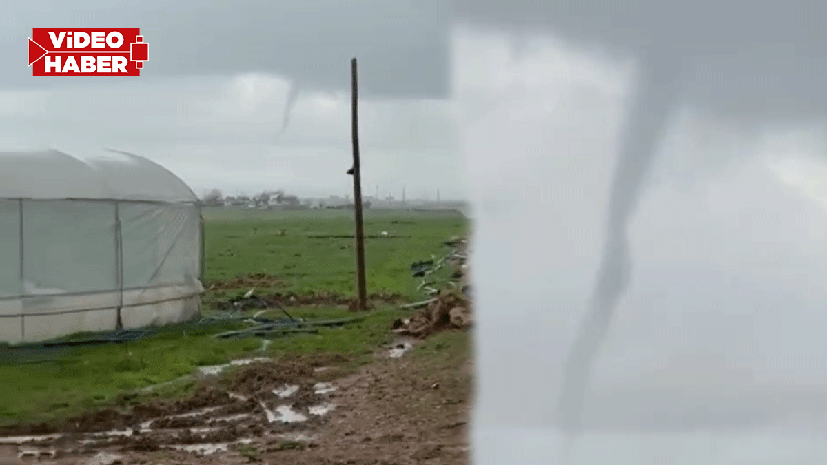 Şanlıurfa’da gören gözlerine inanamadı! Hortum seraları teğet geçti