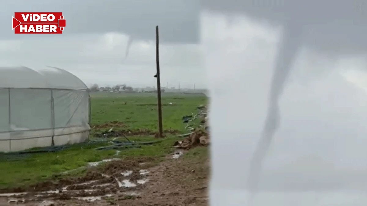 Şanlıurfa’da gören gözlerine inanamadı! Hortum seraları teğet geçti