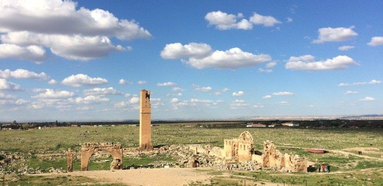 Harran İlçesi Yerel Eylem Grubu Derneği'nin web sitesi kurulumu hizmet alımı teknik şartnamesi