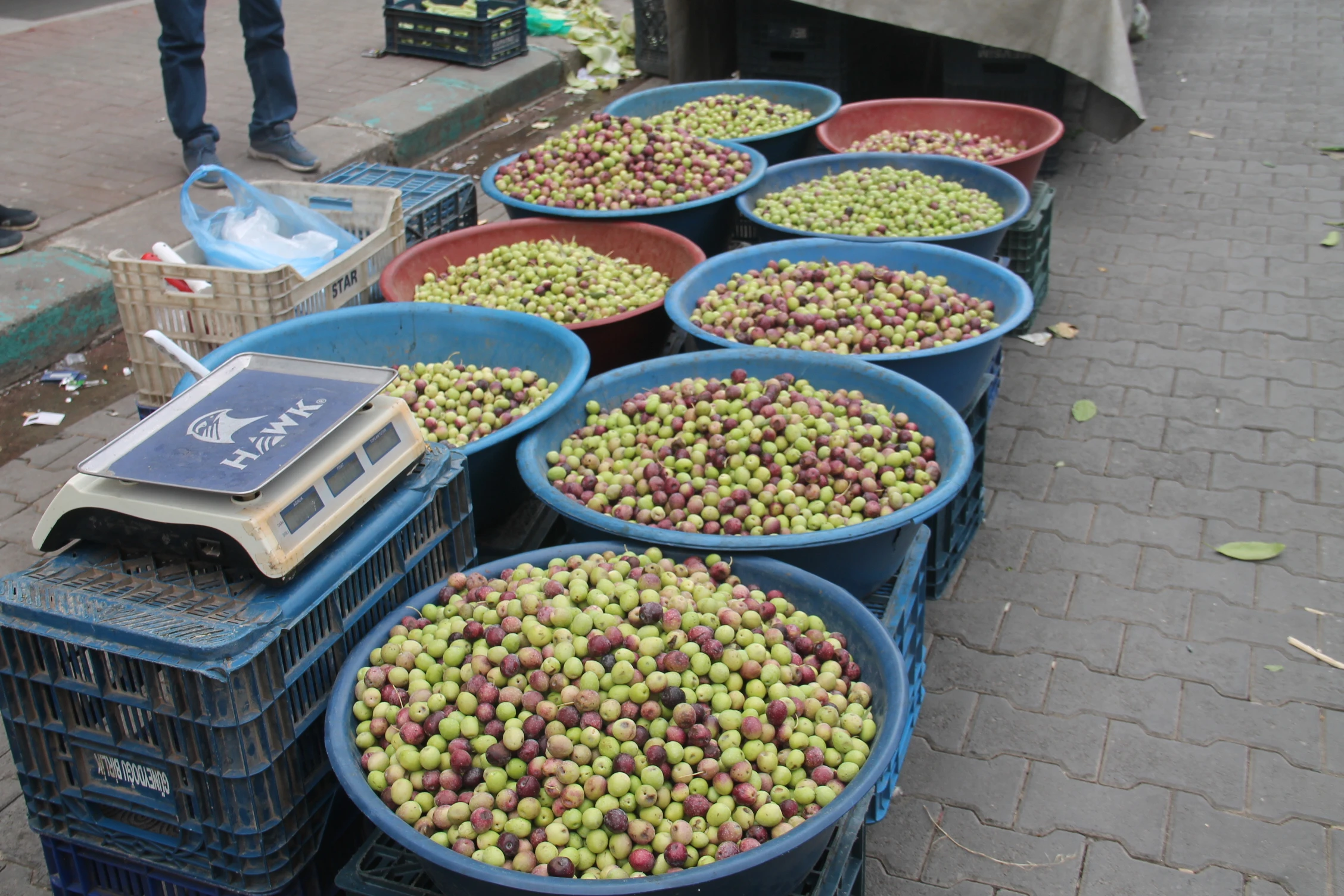 Şanlıurfa'da zeytin fiyatları tavan yaptı! 'Zeytin ekmek yeriz' demeyin: Artık o da hayal oldu