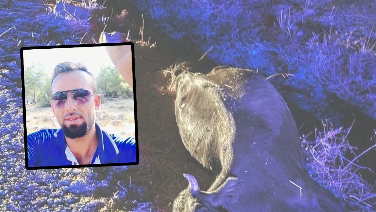 Aniden önüne çıkan inek ölümüne neden oldu!
