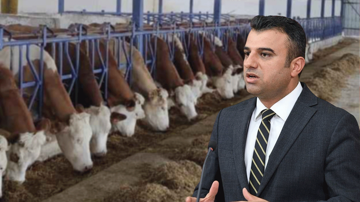Şanlıurfa vekili yıllardır çözülemeyen konuyu gündeme taşıdı!