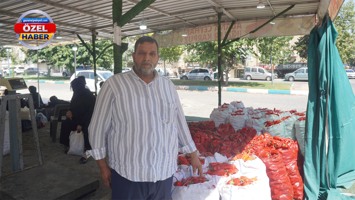 Şanlıurfalılar bu yıl isotsuz kalabilir! Elinizi çabuk tutun…