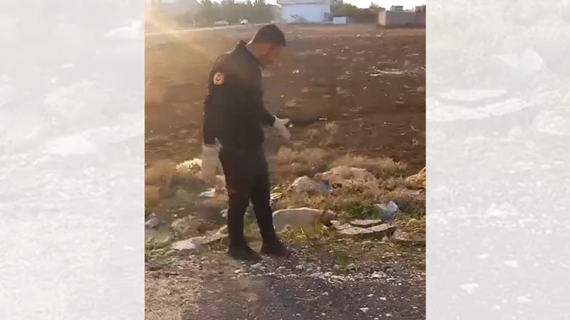 İki duvar arasına sıkışan köpeği itfaiye kurtardı