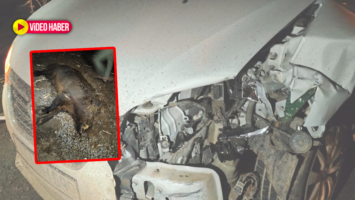 Şanlıurfa’da bir anda yola çıktı! Kazaya neden oldu