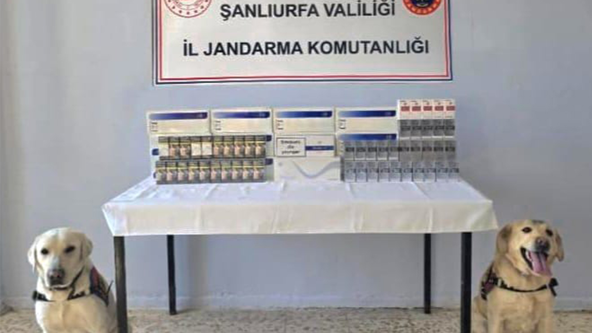 Şanlıurfa’da kaçakçılara baskın! Yüzlerce kaçak paket ele geçirildi