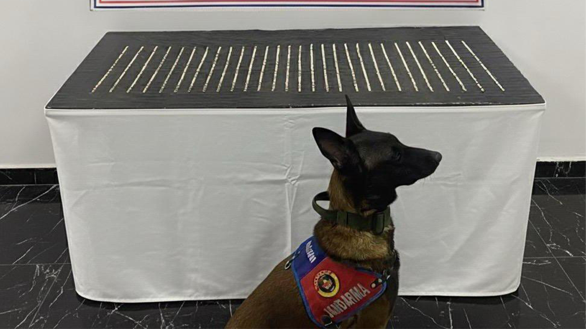 Şanlıurfa’da jandarmadan baskın! 4 kişi gözaltına alındı