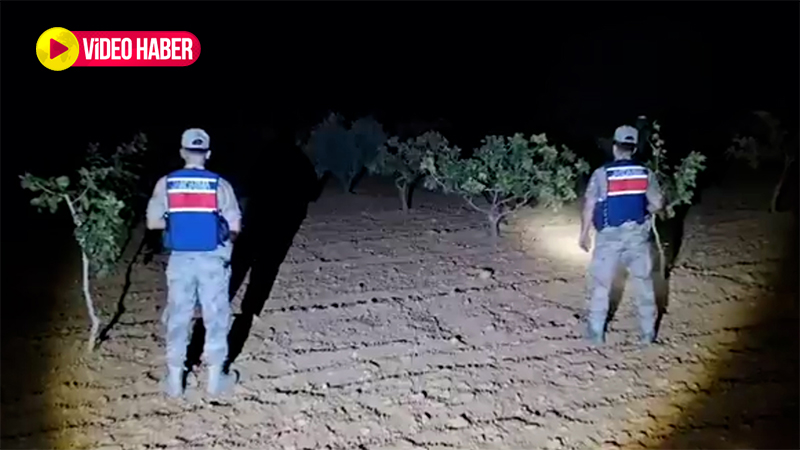 Şanlıurfa’da jandarma yeşil altın için sahaya indi