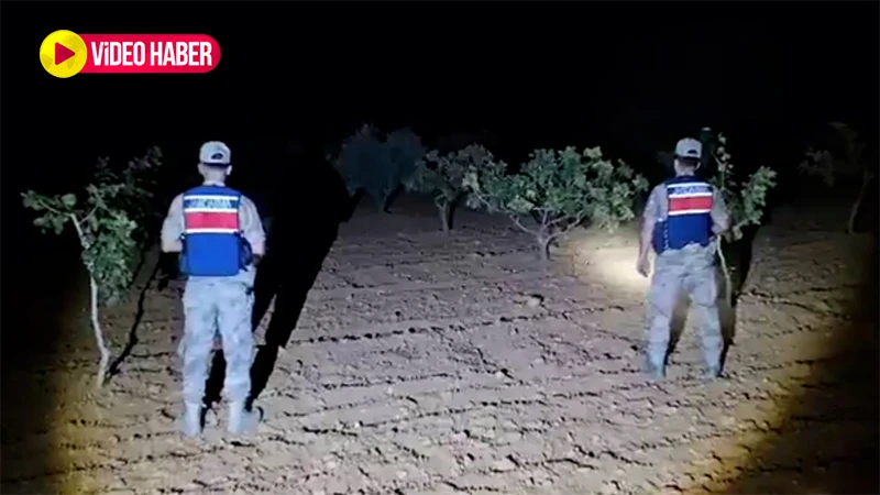 Şanlıurfa’da jandarma yeşil altın için sahaya indi