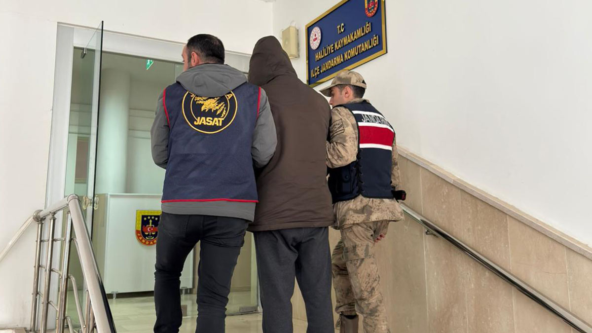 Şanlıurfa’da firari hırsıza jandarma şoku!
