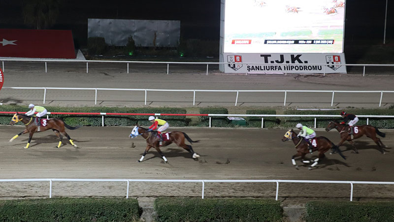 Şanlıurfa'daki koşunun kazananı belli oldu
