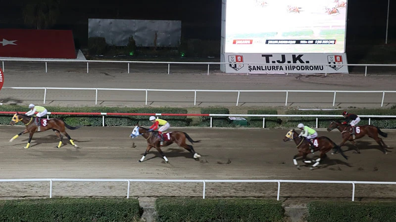 Şanlıurfa'daki koşunun kazananı belli oldu