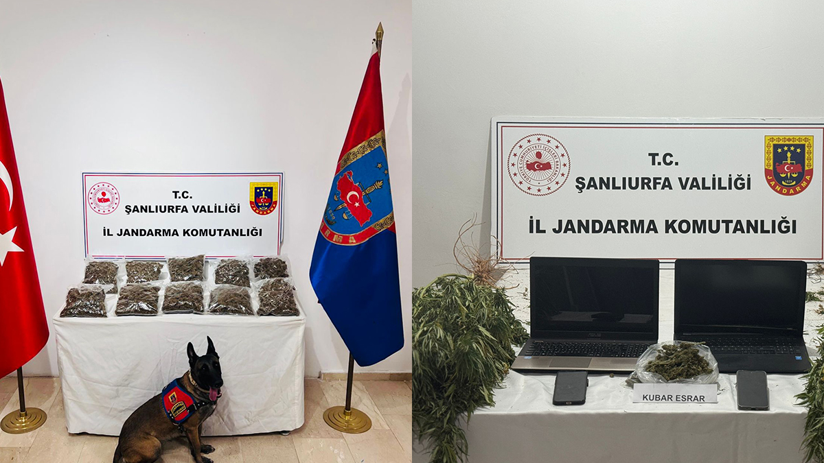 Şanlıurfa’da zehir tacirleri ve dolandırıcılara operasyon!