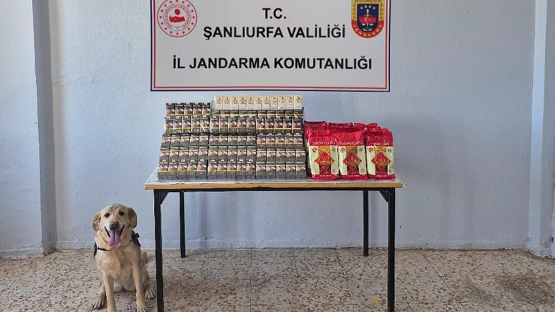 Şanlıurfa’nın iki ilçesinde kaçakçılara şok operasyon!