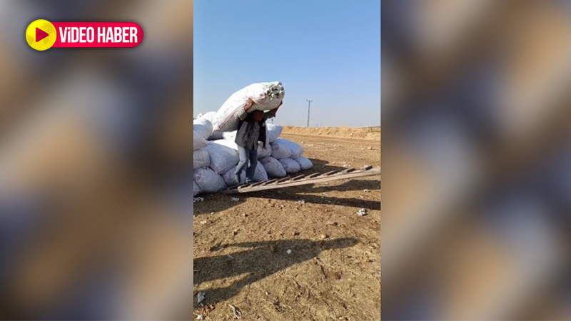 120 kiloyu kaldırdı 'bana mısın' demedi! Bu da Urfalı Cep Herkül’ü
