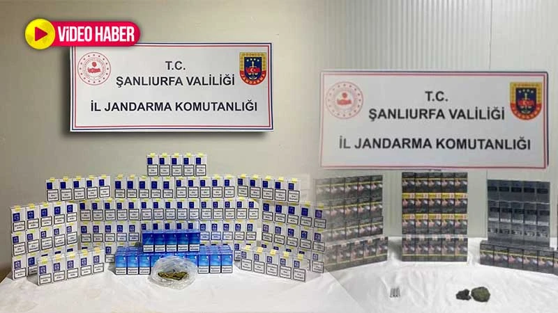 Şanlıurfa'da şok yol uygulamasında dedektör köpek paket paket sigara buldu
