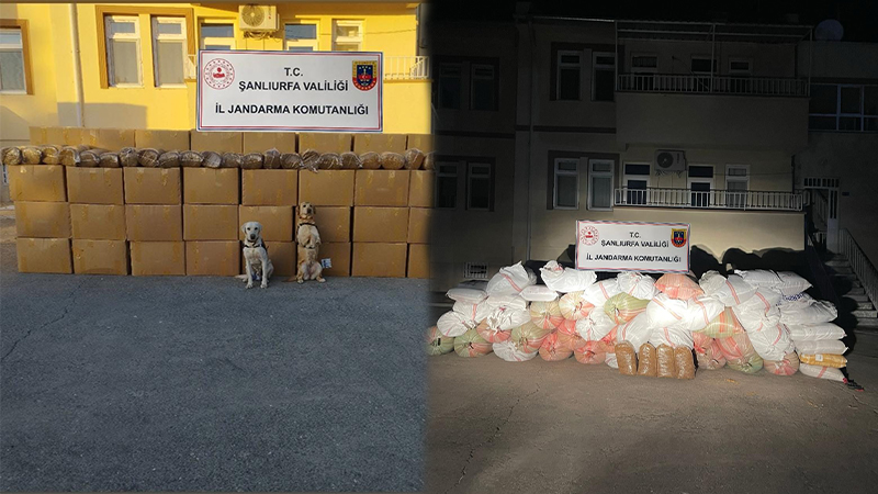 Şanlıurfa’da ele geçirilenler ağızları açık bıraktı! 10 bin kilodan fazla…