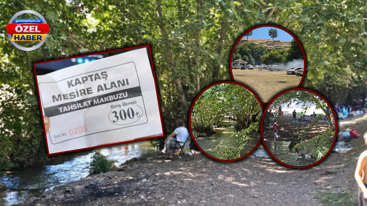 Şanlıurfa'da yokluk ne yaptırıyor: Rezilliğe 300 lira