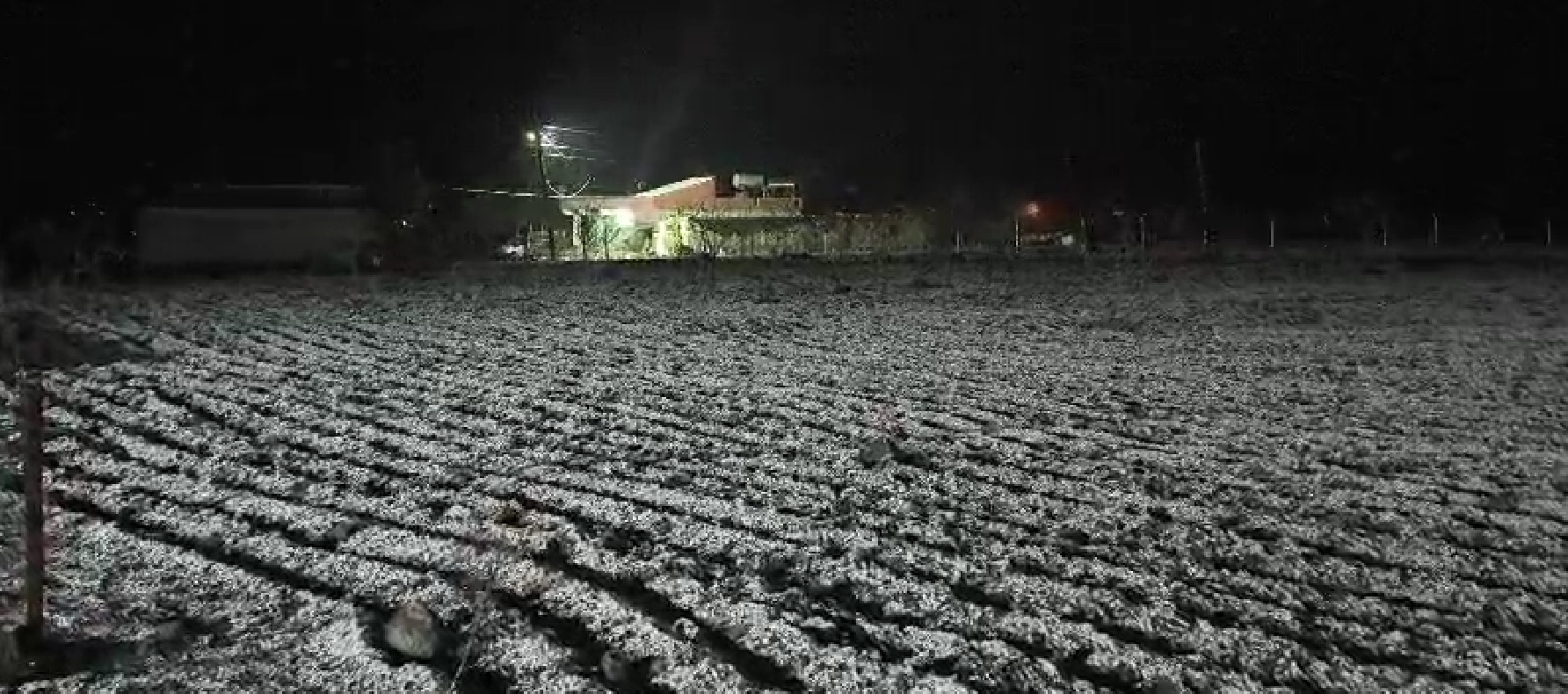 Şanlıurfa'ya ilkbahar bereketiyle geldi... Kırsala beyaz örtü çok yakıştı